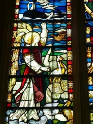 Birds Creation Window