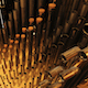 Organ Pipes from Inside the Organ 2