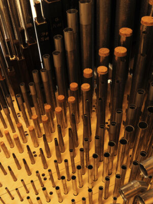 Organ Pipes from Inside the Organ